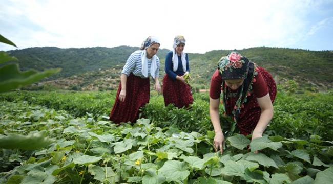 "BU KADAR TALEP BEKLEMİYORDUK, ÇOK ŞAŞKINIZ"