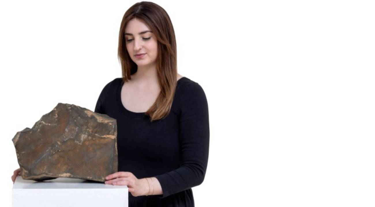 Mars'tan gelmişti, satışı gerçekleşti
