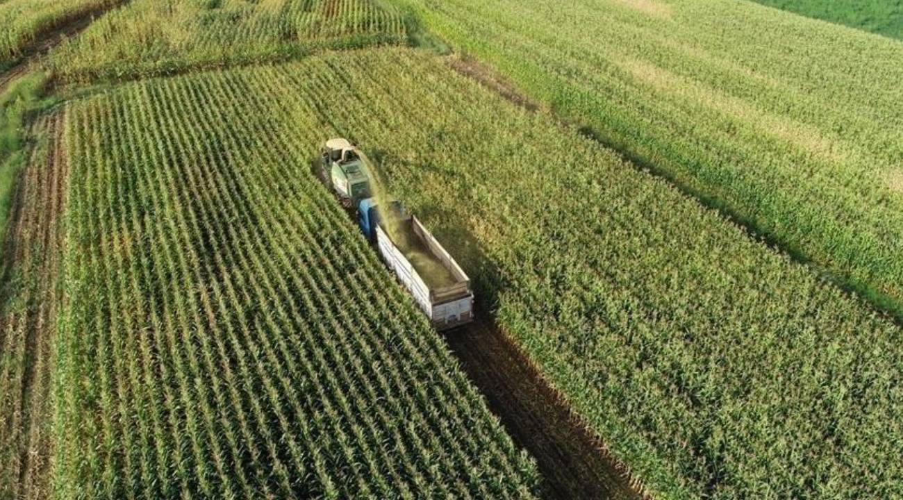 Çiftçilere 865 milyon liralık destekleme ödemesi bugün yapılacak