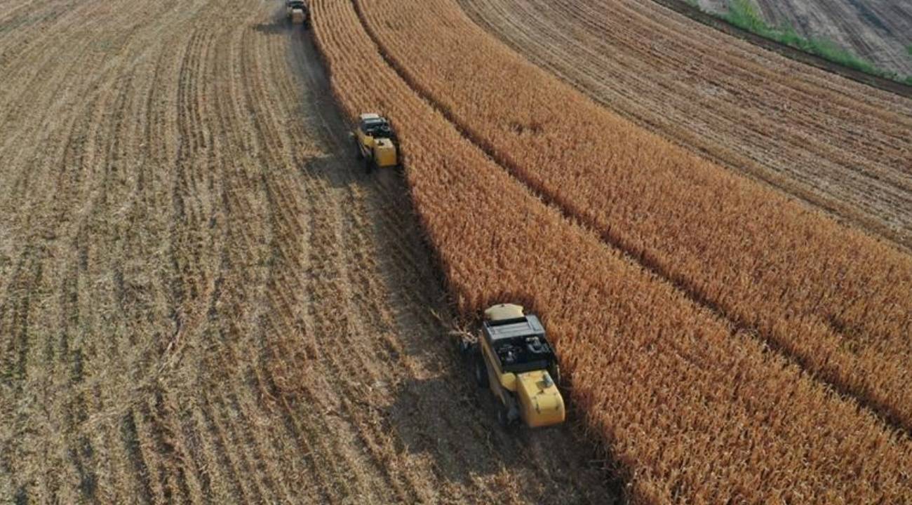 Çiftçilere 345 milyon TL destek