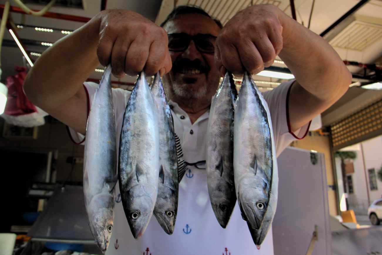 Bu yıl palamut bekleyenlere kötü haber-1