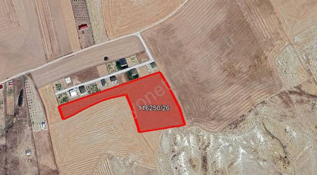 ANKARA GÖLBAŞI VELİHİMMETLİ'DE 11.900,56 M² PLANSIZ ALAN (1/25.000 NİP TARIM ALANI)
