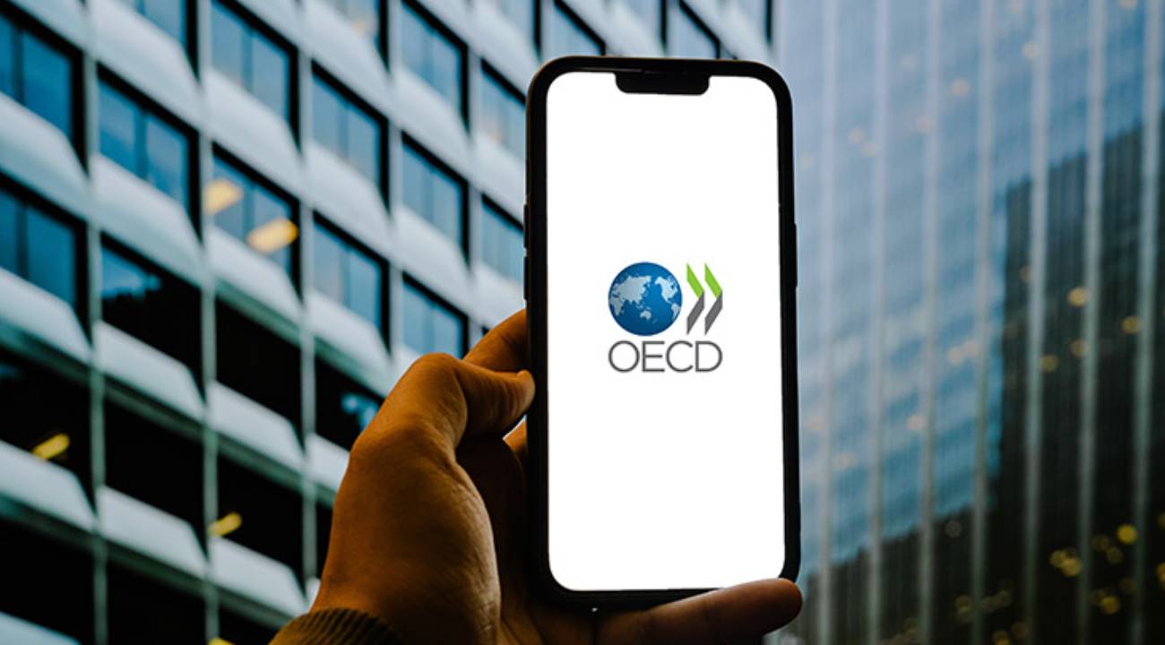 OECD 2025 Türkiye büyüme ve enflasyon tahminlerini güncelledi