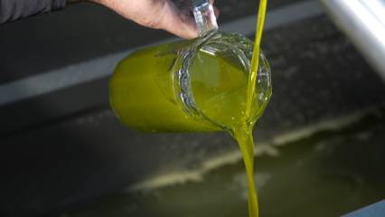 Ayvalık'ta 18 bin ton üretiliyor, ama piyasalarda 100 bin ton var