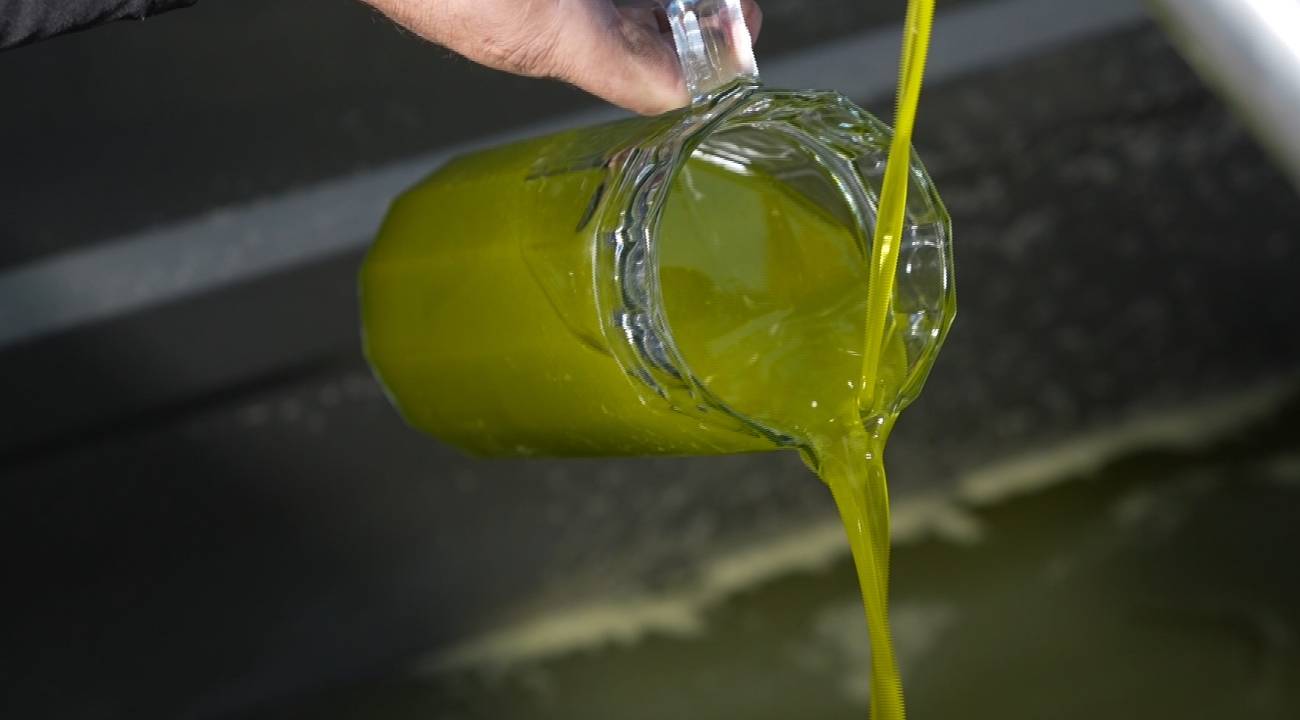 Ayvalık'ta 18 bin ton üretiliyor, ama piyasalarda 100 bin ton var