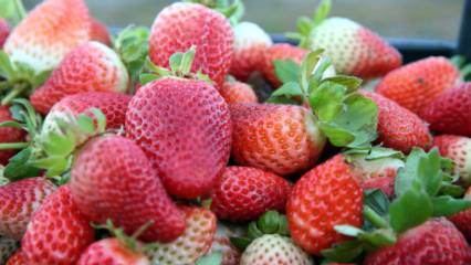 Detaylar: Emeklilik hobisiydi, şimdi siparişlere yetişemiyor