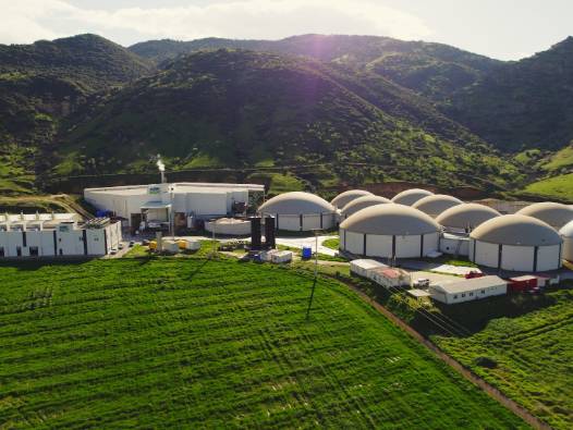 ARF Bio (ARFYE) halka arz tarihi: Kaç lot dağıtacak, fiyatı ne kadar?