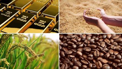 Emtia piyasasında geçen ay neler oldu?