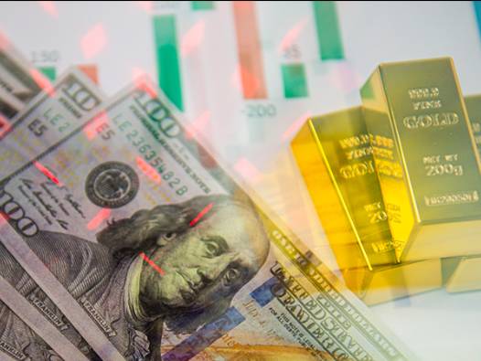 Borsa, döviz, altın: Ekim'de en çok kazandıran yatırım aracı belli oldu