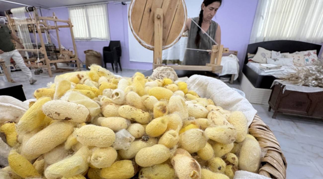 Depremden kurtardığı bir avuç böcek yumurtası tescil getirdi
