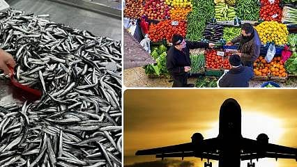 Aralık'ta fiyatı en fazla artan ve düşen ürünler hangileri oldu?