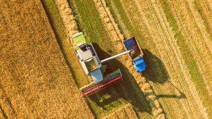 Çiftçinin hesabına 2,5 milyar TL bugün yatıyor