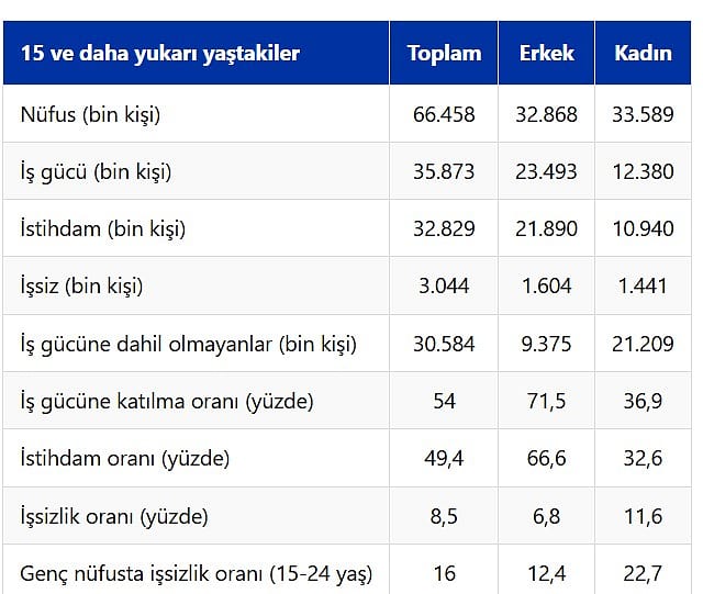 İşsizlik rakamları açıklandı-2