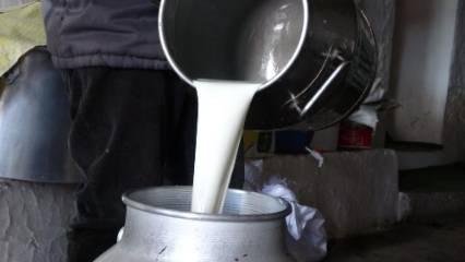 Çiğ süt fiyatı belli oldu: 22 Ocak'tan itibaren geçerli olacak