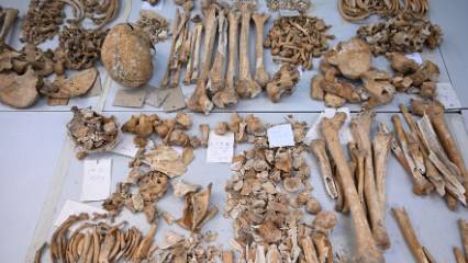 12 bin yıllık sır çözülüyor: Çayönü insanının genetik haritası çıkarılıyor