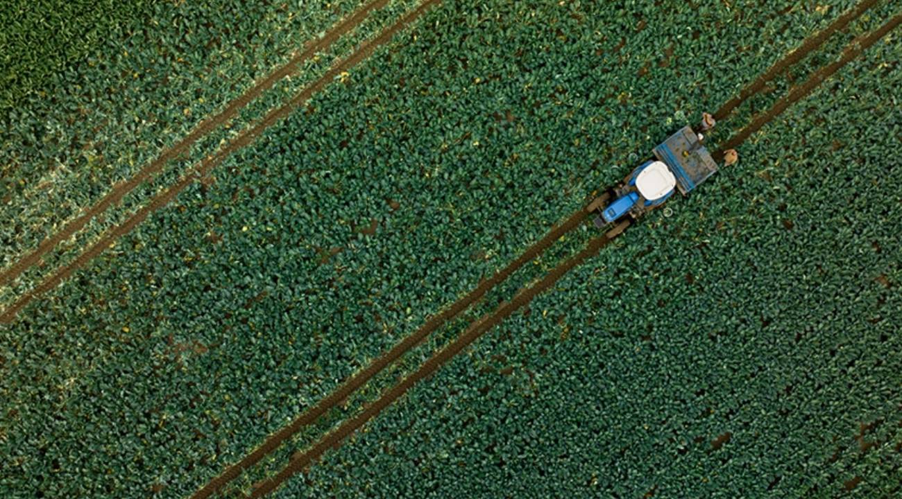 Çiftçilere destek ödemesi bugün yapılacak