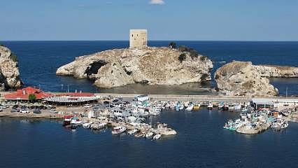 Şile'de palamut avında beklenen olmadı: Peki neden?