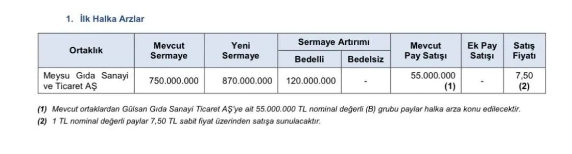 SPK'dan bir halka arza onay geldi-1