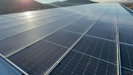 Devlet desteği aldı, şimdi hem elektrik hem mantar üretiyor