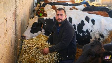 Hibeyle başladı bugün çiftliği var