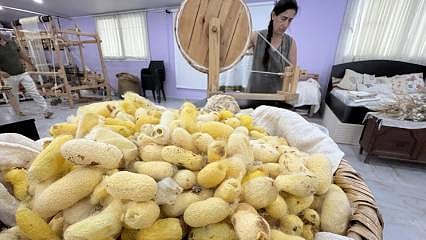 Depremden kurtardığı bir avuç böcek yumurtası tescil getirdi