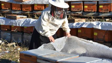 Bir anne arıcılık kazancıyla 5 çocuğunu mezun etti