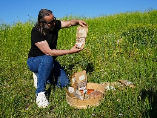 Kastamonu'da gastronomi atağı: Ata tohumu siyez eko-turizmin yeni yıldızı olacak