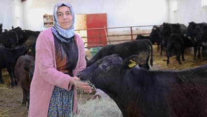 Devlet desteğiyle başladı, sürüsünü kısa sürede ikiye katladı