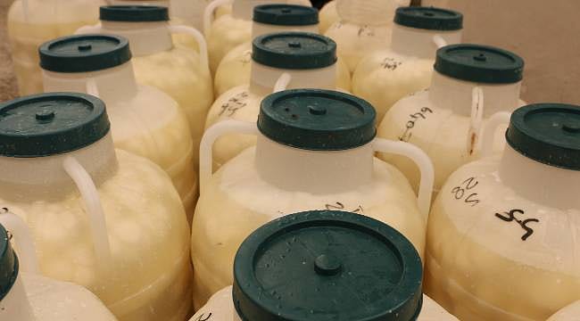 Kışın fiyatı ikiye katlanıyor! Diyarbakırlılar o peyniri almak için kuyrukta