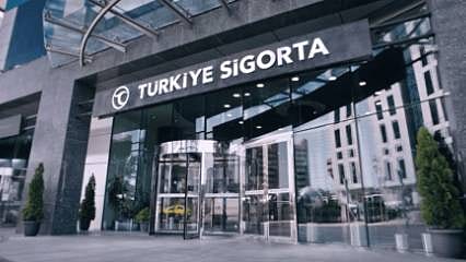 Türkiye Sigorta ve Türkiye Hayat Emeklilik 2026 yılı ilk yarı finansal sonuçlarını açıkladı