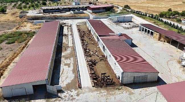 Yüksek maliyetlere rağmen üretmekten vazgeçmiyor