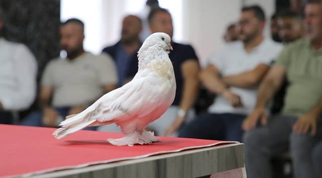 Anadolu'da yetiştiriliyor, çok ender bulunuyor: En pahalısı 5 milyon TL