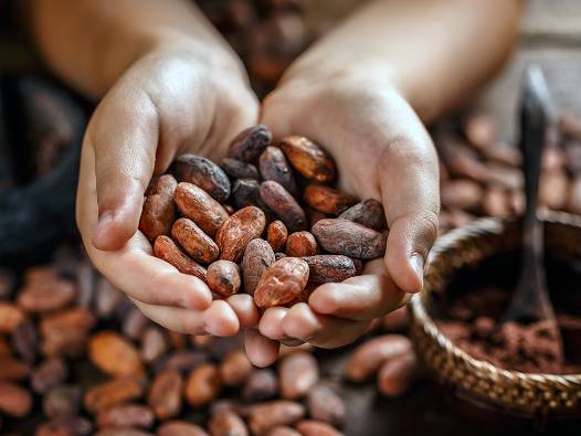 Ülkemizde yetişmiyor ama rekor kırıyor: En fazla ihracat yapılan 3 ülke