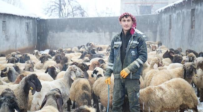 Hayvancılıkta destekler meyvesini veriyor, gençler köyünde kalıyor