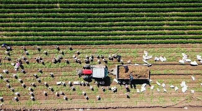Kırsal kalkınmaya 12,5 milyar TL hibe desteği verilecek