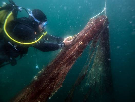 "Mavi Atlas" ilk meyvesini verdi: Denizin dibindeki 15 bin metrekarelik ölüm tuzağı temizlendi