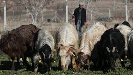 Detaylar: Devlet desteğiyle yeni bir hayat: Eski hükümlü kendi işinin patronu oldu