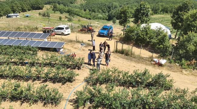 Kurak arazide bir mucize yaşandı: Yüzde 50 devlet desteğiyle 6 ton ürün