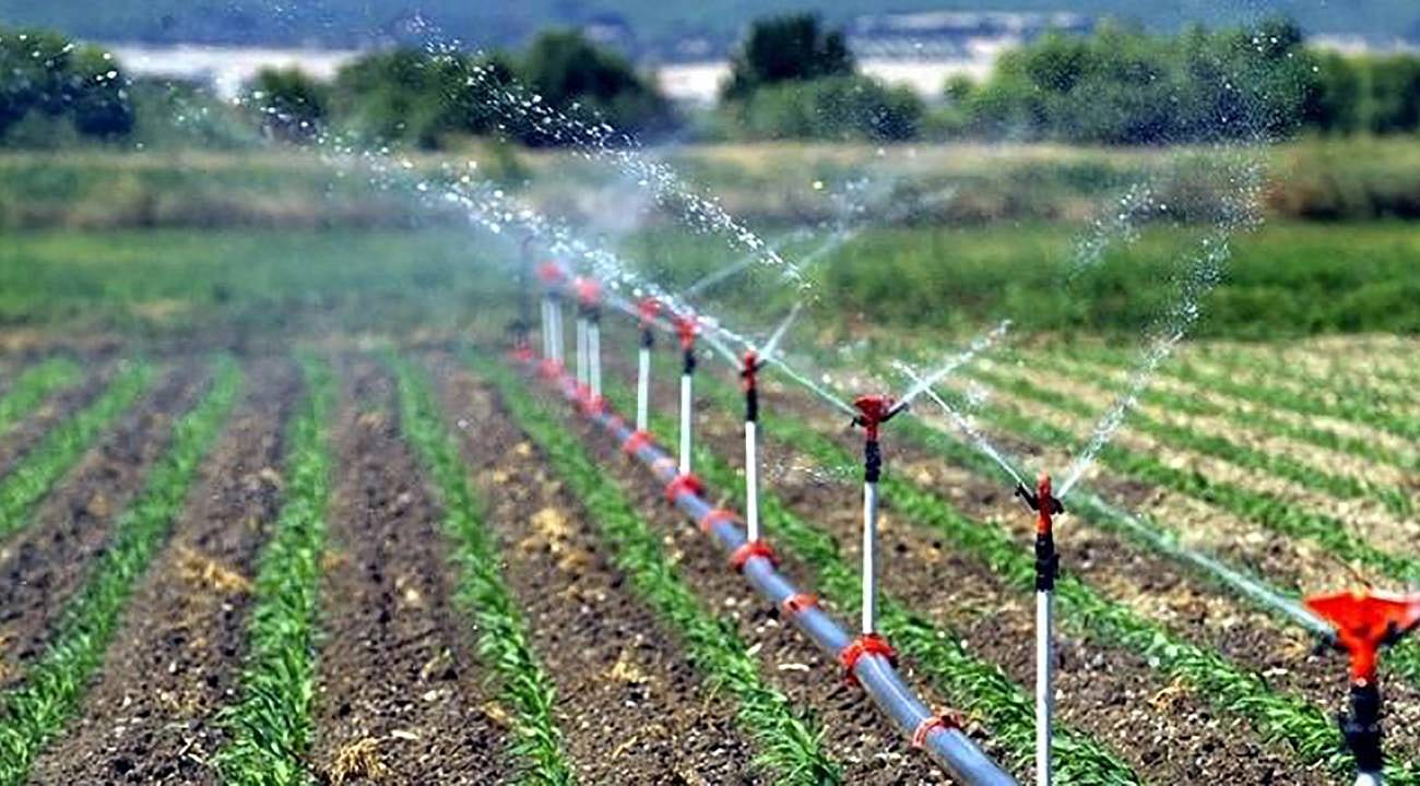 Tarımsal destek başvuruları 30 Haziran’a uzatıldı
