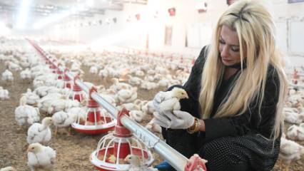 Butiğini kapattı, çiftlik kurdu... 7,5 dekarlık alana 20 milyon liralık yatırıml