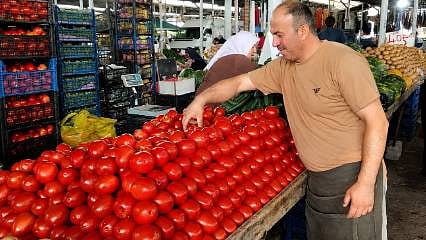 Yaz meyve ve sebzeleri tezgahları süsledi
