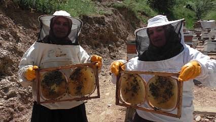 Gelin-görümcenin arıcılık başarısı: 5 kovandan 100 kovana ulaştılar