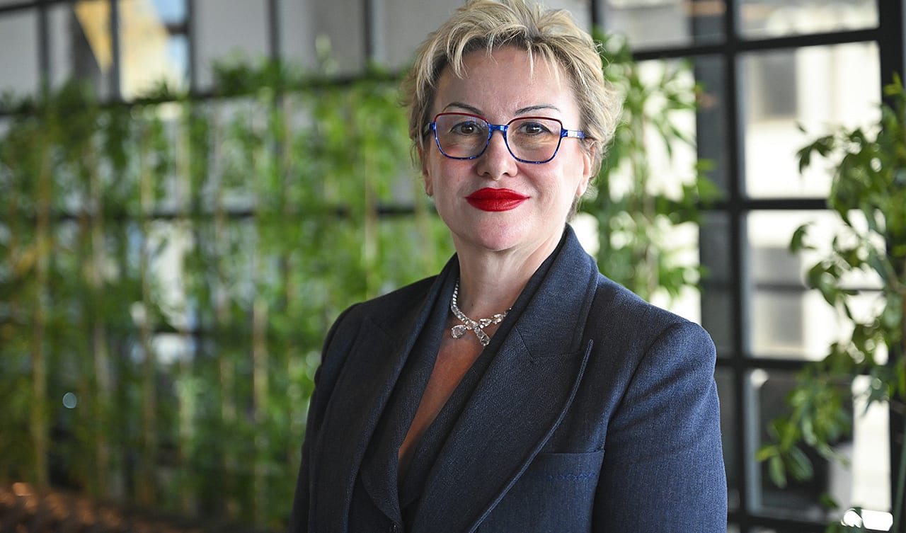 2035 enerji vizyonuna 'Süper İzin' desteği: Proje süreleri yarı yarıya kısalacak-1