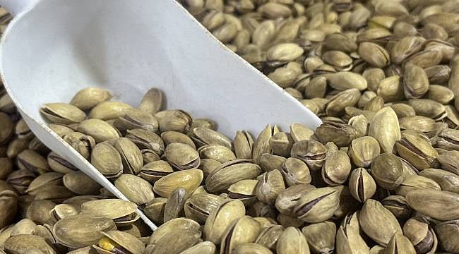 66 ülkenin sofrasını Türk fıstığı süsledi: Zirvede hangi ülke var?