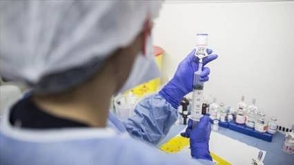Detaylar: DSÖ'den hantavirüs açıklaması: Küresel risk seviyesi "Düşük"