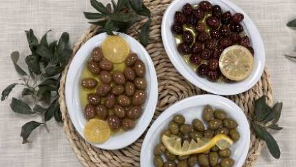 Detaylar: Milas zeytini Avrupa yolunda: 19 Nisan için geri sayım başladı