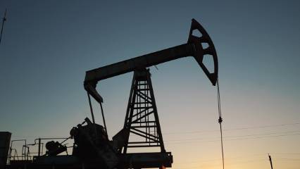 Rus devlet petrol şirketi duyurdu: "Venezuela'daki varlıklarımız Rusya'ya aittir"