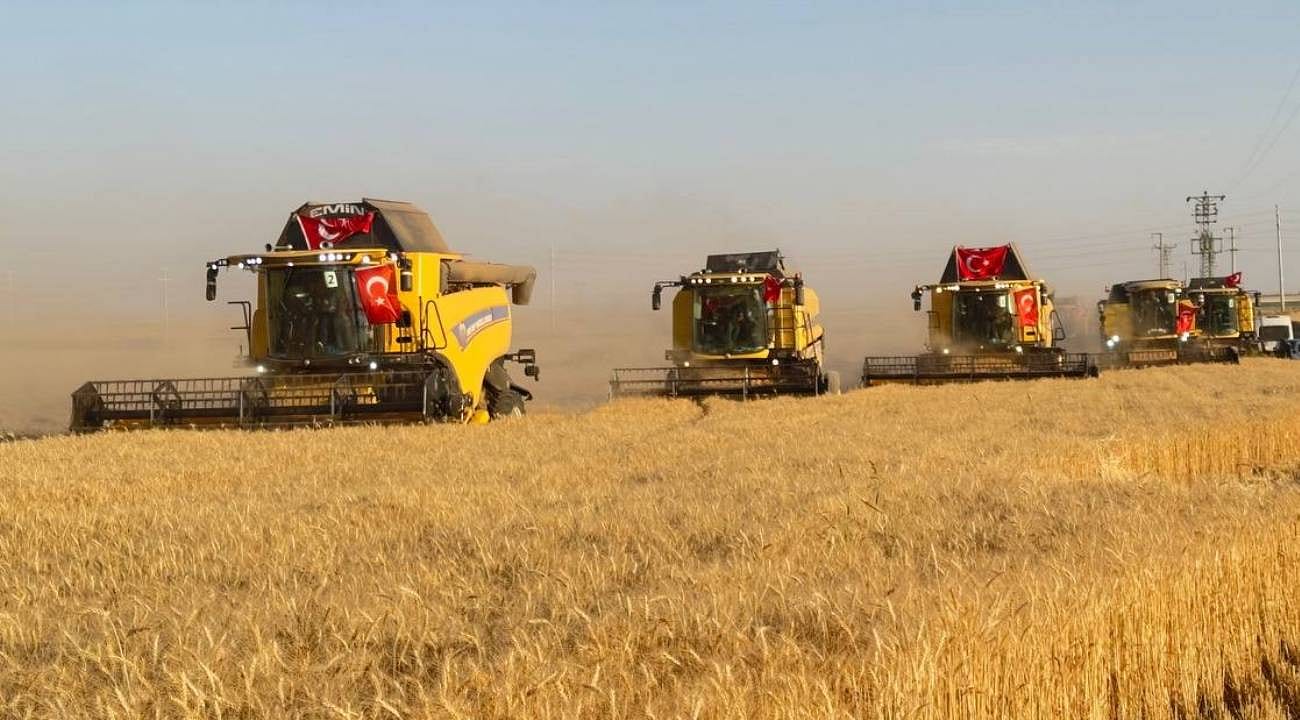 Şanlıurfa'da buğday hasadına yağmur bereketi