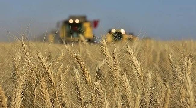 TMO hububat ve haşhaş kapsülü alım ödemelerine devam ediyor