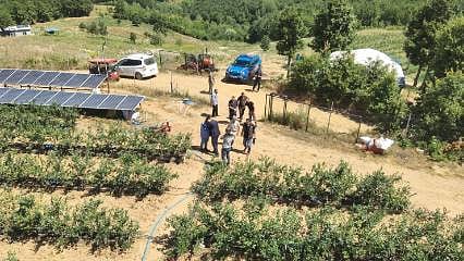 Kurak arazide bir mucize yaşandı: Yüzde 50 devlet desteğiyle 6 ton ürün